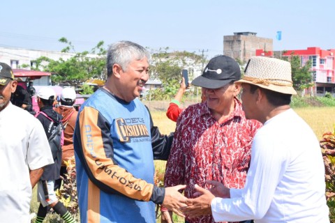 Hasil Produksi Padi Meningkat