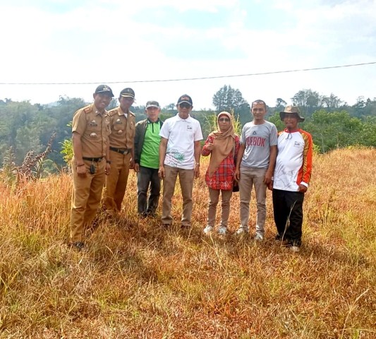 Gowa Siapkan 15 Ribu Ha Lahan Penanaman Pisang