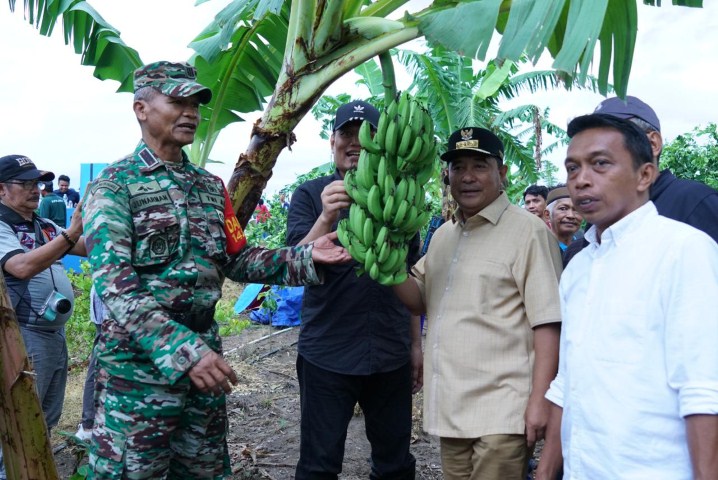 IST MENGUNJUNGI--Pj Gubernur Sulsel Bahtiar Baharuddin mengunjungi kebun porang milik politisi Nasdem Syaharuddin Alrif untuk ditanami pohon pisang Kapendis 