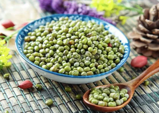 Poktan Sumber Tani Panen Kacang Hijau dengan Alat Modifikasi
