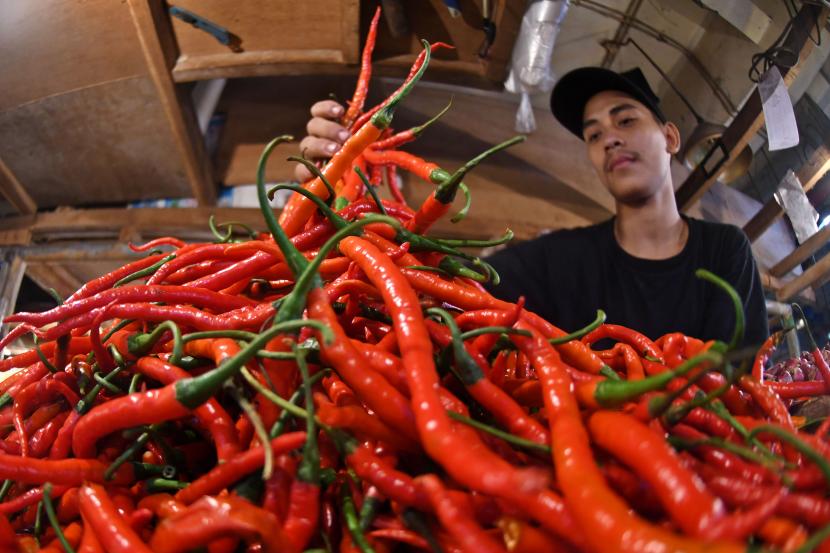 int NAIK-- Dinas Perindustrian dan Perdagangan Sulsel mencatat ada kenaikan di harga kebutuhan pokok seperti cabai keriting Rp50 ribu per kg, cabai merah biasa Rp48.333 per kg dan cabai rawit merah Rp55 ribu per kg yang awalnya hanya berkisar Rp30 sampai Rp40 ribu per kg. Tampak cabai keriting.