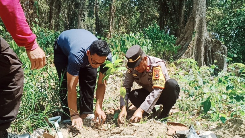 POHON -- Polres Luwu melaksanakan penanaman bibit pohon sebanyak 1.025 pohon dalam rangka program Kapolri dengan Tema " Polri lestarikan Negeri, penghijauan sejak dini", bertempat di wisata penelitian Kayu Lara Dusun Simoma Desa Temboe Kecamatan Larompong Selatan Kabupaten Luwu, Rabu (15/11).
