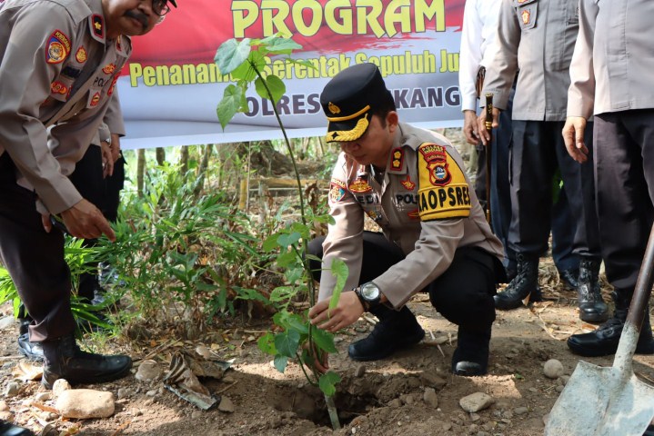 TANAM POHON -- Kapolres Enrekang AKBP Dedi Surya Dharma melaksanakan penanaman pohon di Taman Kota Jalan Sungai Mata Allo, Puserren,  Kecamatan Enrekang Kabupaten Enrekang, Rabu (15/11).