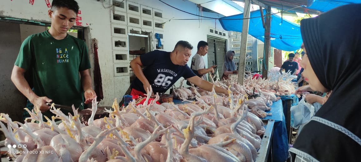 BKM/SAR MELIMPAH -- Stok ayam pedaging jelang Nataru melimpah seperti terpantau di pasar tradisional Balang-balang, Kecamatan Bontomarannu, Kabupaten Gowa.