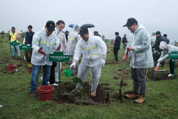 TANAM POHON -- Direktur Jenderal Planologi Kehutanan dan Lahan Lingkungan Kementerian Lingkungan Hidup, Kehutanan dan Tata Lingkungan Dr Hanif Faisol Nurofiq sedang melakukan penanaman pohon di kawasan rehabilitasi lahan dan DAS PT Vale di Bukit Lappa Laona.