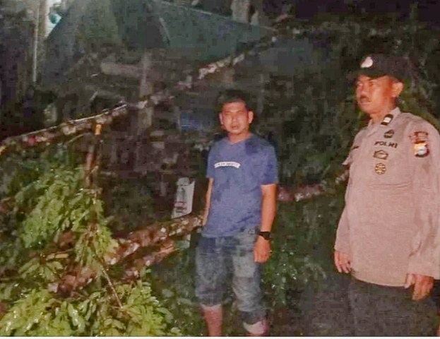 TEWAS -- Warga Buntu Masakke Kecamatan Sangalla Yohanis Parrang (72) meninggal dunia tertimpa pohon  di rumahnya, Senin (11/12).