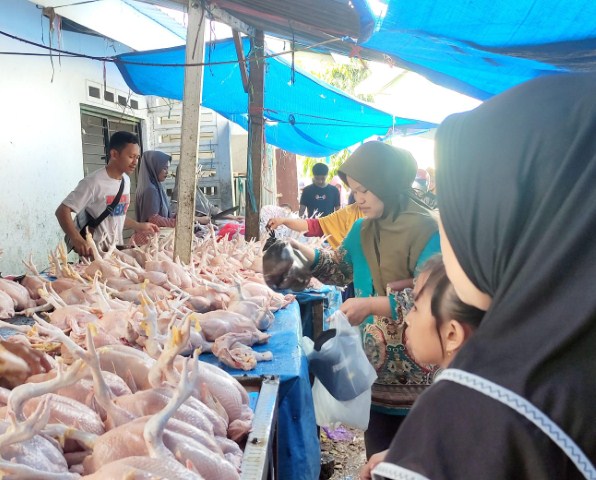 BKM/SAR TINGGI -- Penjualan ayam pedaging di pasar-pasar tradisional di Gowa cenderung harganya tinggi disebabkan pasokan stok dari kandang berkurang akibat harga pakan tinggi. 