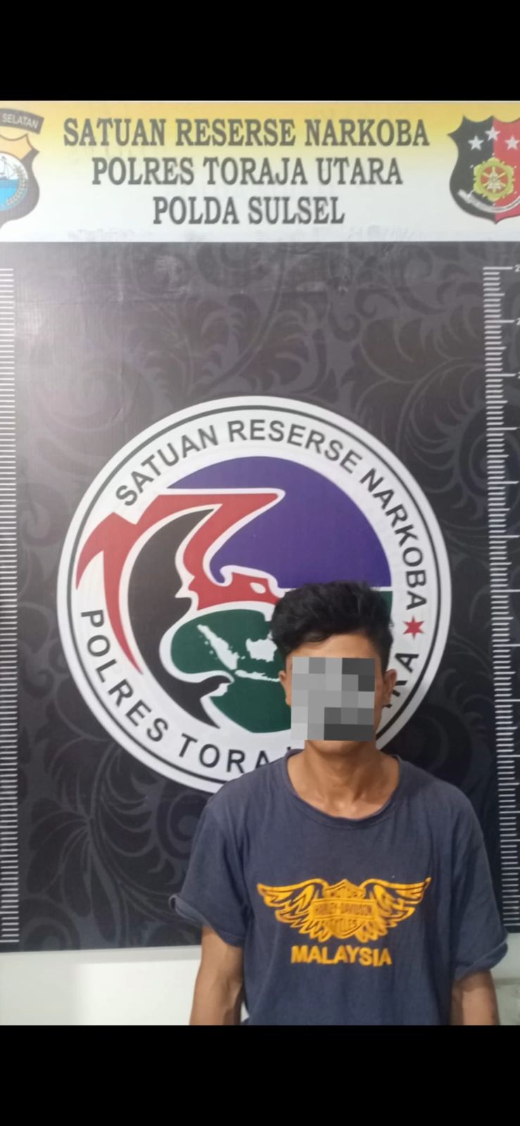 AMANKAN -- Pengedar narkoba jenis sabu-sabu diamankan Satresnarkoba Polres Torut beserta barang bukti. Pelaku langsung digiring ke Mapolresta untuk pemeriksaan lebih lanjut. 