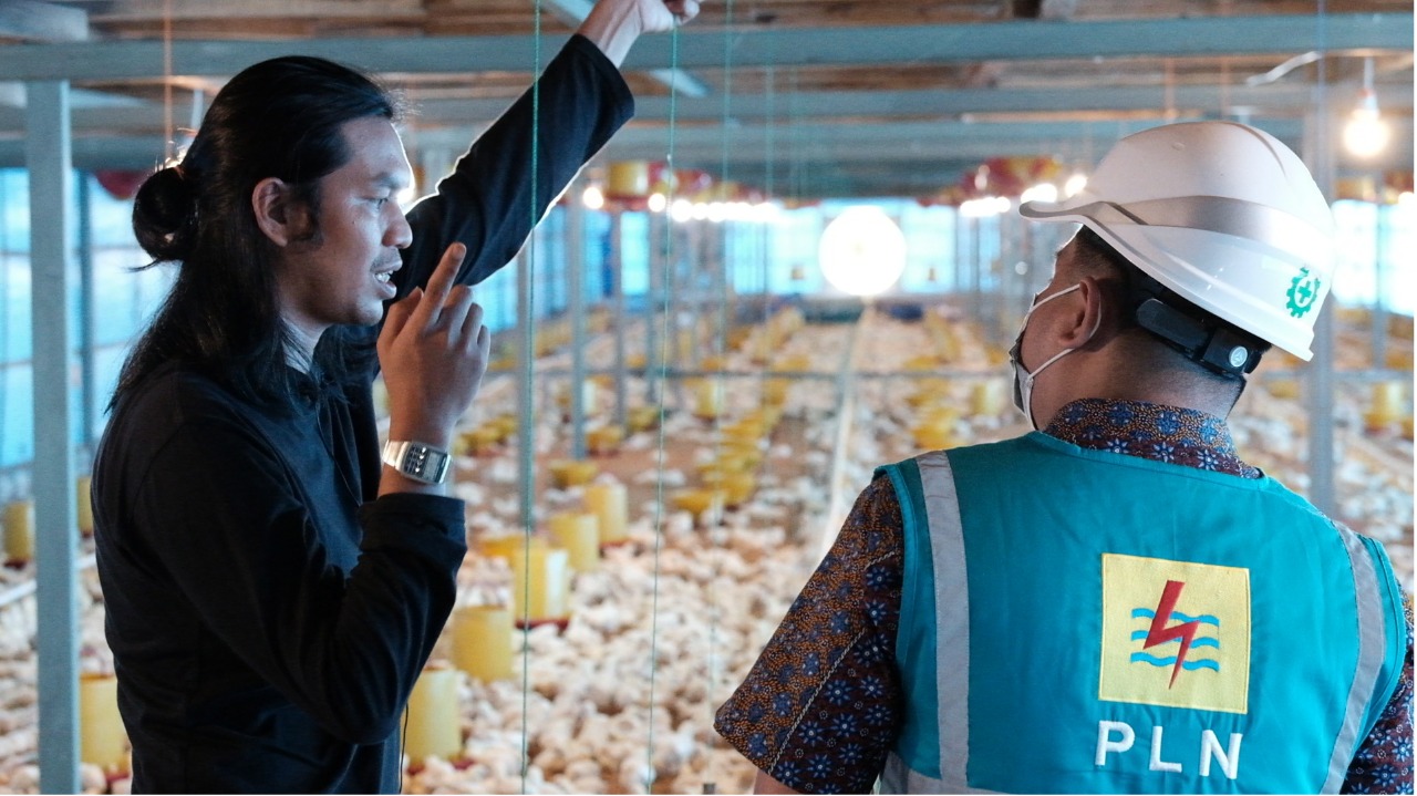 PROGRAM EA -- Petugas PLN saat mengunjungi salah seorang peternak ayam di Kabupaten Gowa yang telah menerapkan EA, guna lebih meningkat.
