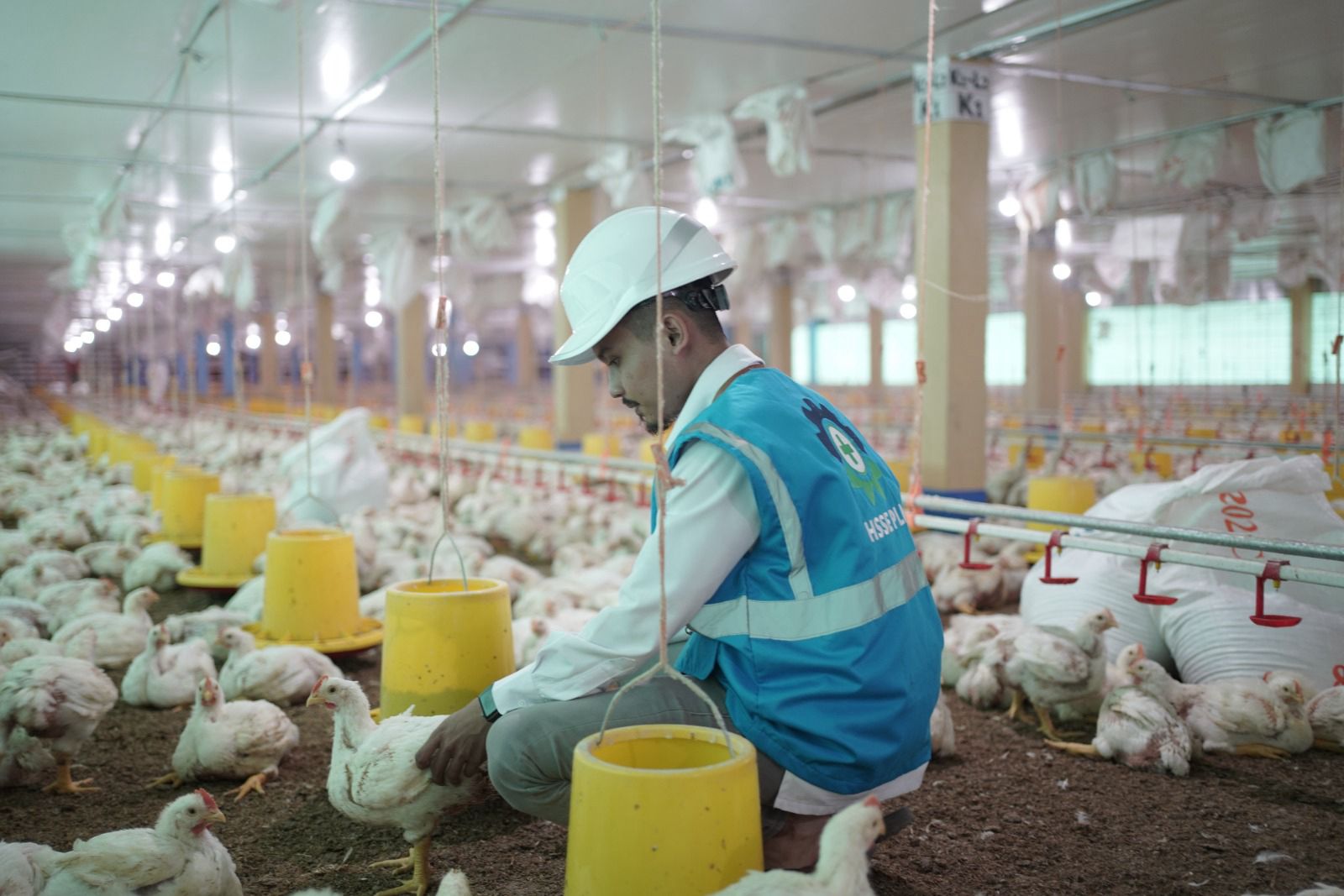 LEBIH MENGHEMAT -- Petugas PLN saat mengunjungi salah satu peternakan ayam di Kabupaten Gowa yang telah menerapkan program EA, guna lebih menghemat pengeluarannya.