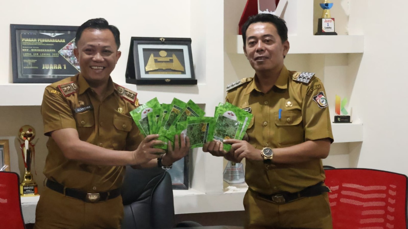 ist SALURKAN---Plt Kadis Ketapang kota Makassar, Alamsyah Sahabuddin mendistribusikan benih cabai di tiga kecamatan.Alamsyah saat menyerahkan bibit ke camat.