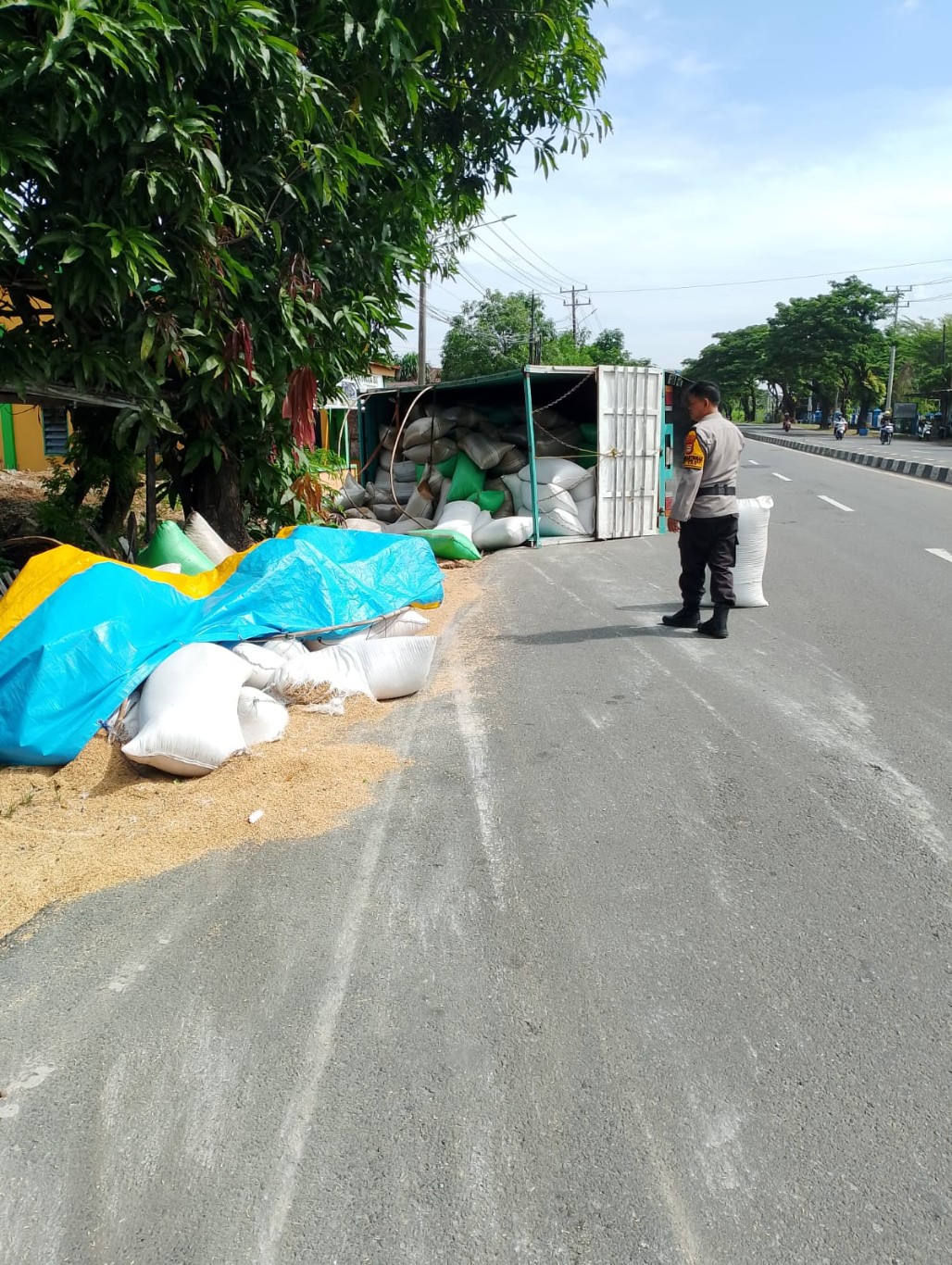 TERGULING -- Truk pengangkut gabah yang terguling di jalan, mengakibatkan gabah yang diangkutnya berhamburan di jalan raya.