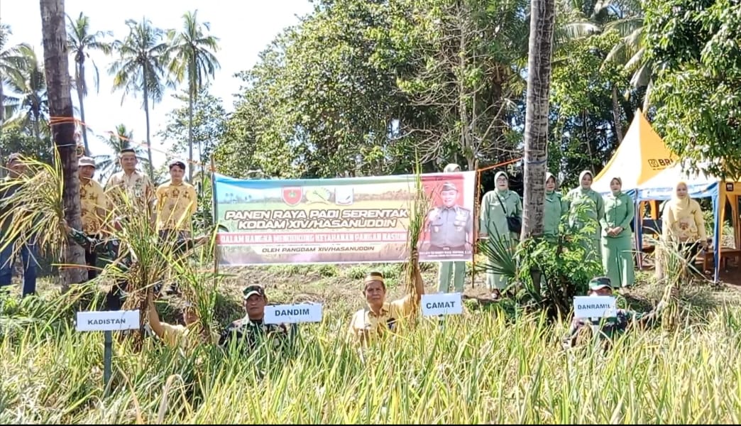 PANEN RAYA -- Dandim 1423/Soppeng Letkol (Inf) Sigit Suhendro Hadi Kusmawan diwakili Kasdim Mayor Inf Baso Ratulangi menghadiri kegiatan Panen Raya serentak Kodam XIV/Hasanuddin di Kodim 1423/Soppeng dalam rangka mendukung ketahanan pangan nasional dipimpin Pandam XIV/Hasanuddin Mayjen TNI Bobby Rinal Makmun, Kamis (18/4) melalui Vicon.  