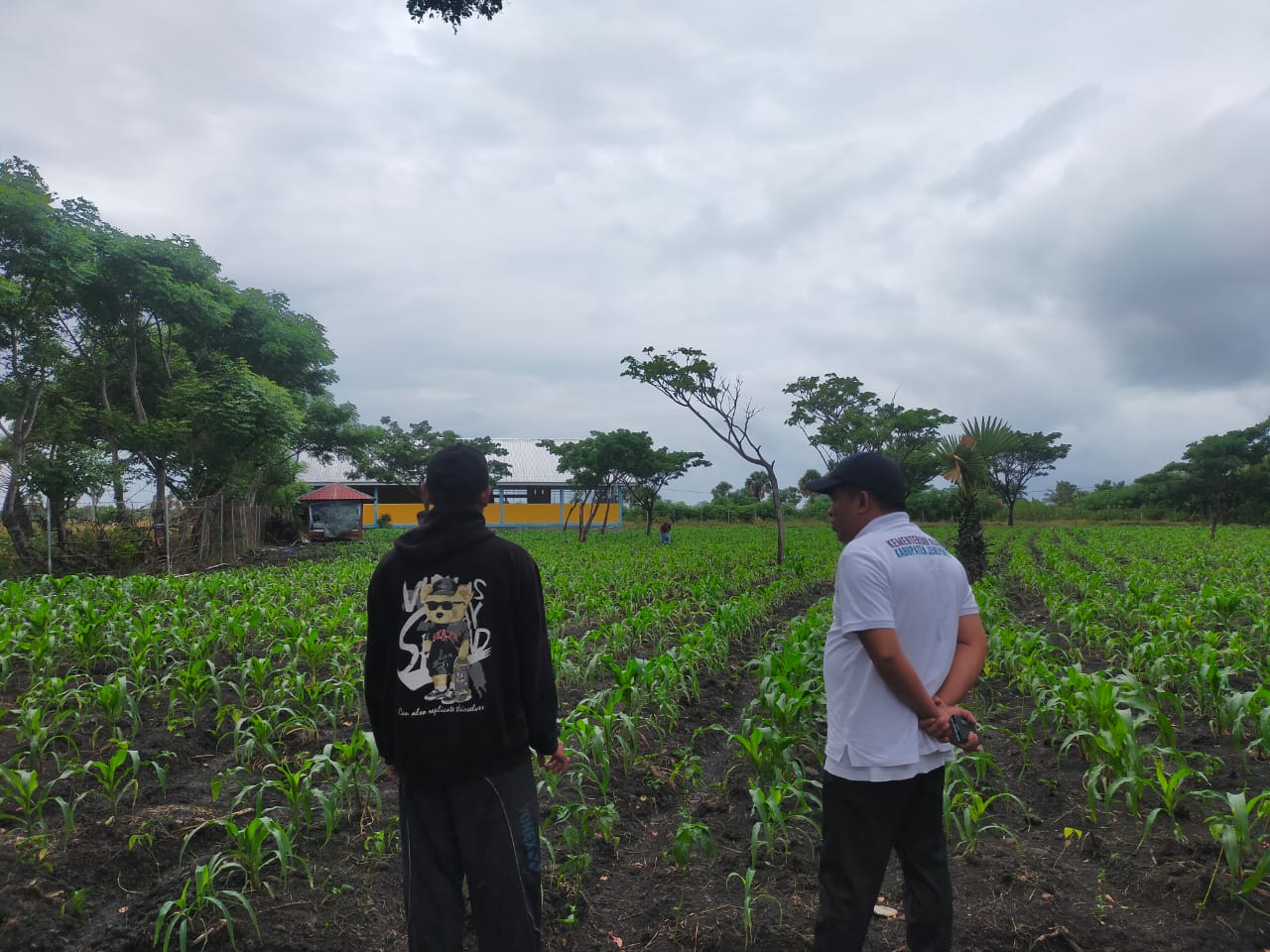 HUTAN KOTA -- Pj Bupati Jeneponto, Junaedi Bakri ketika mengunjungi Hutan Kota 