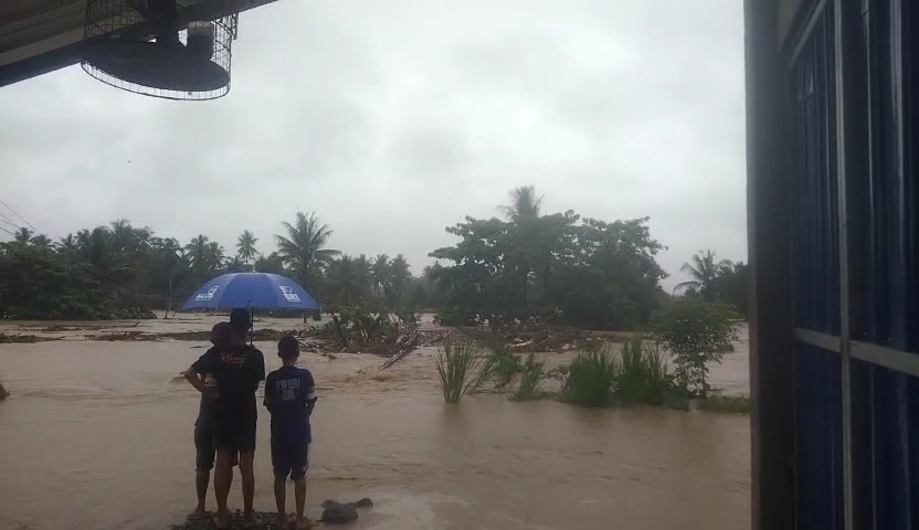 3.792 Ha Tanaman Padi  dan Jagung Terdampak Banjir