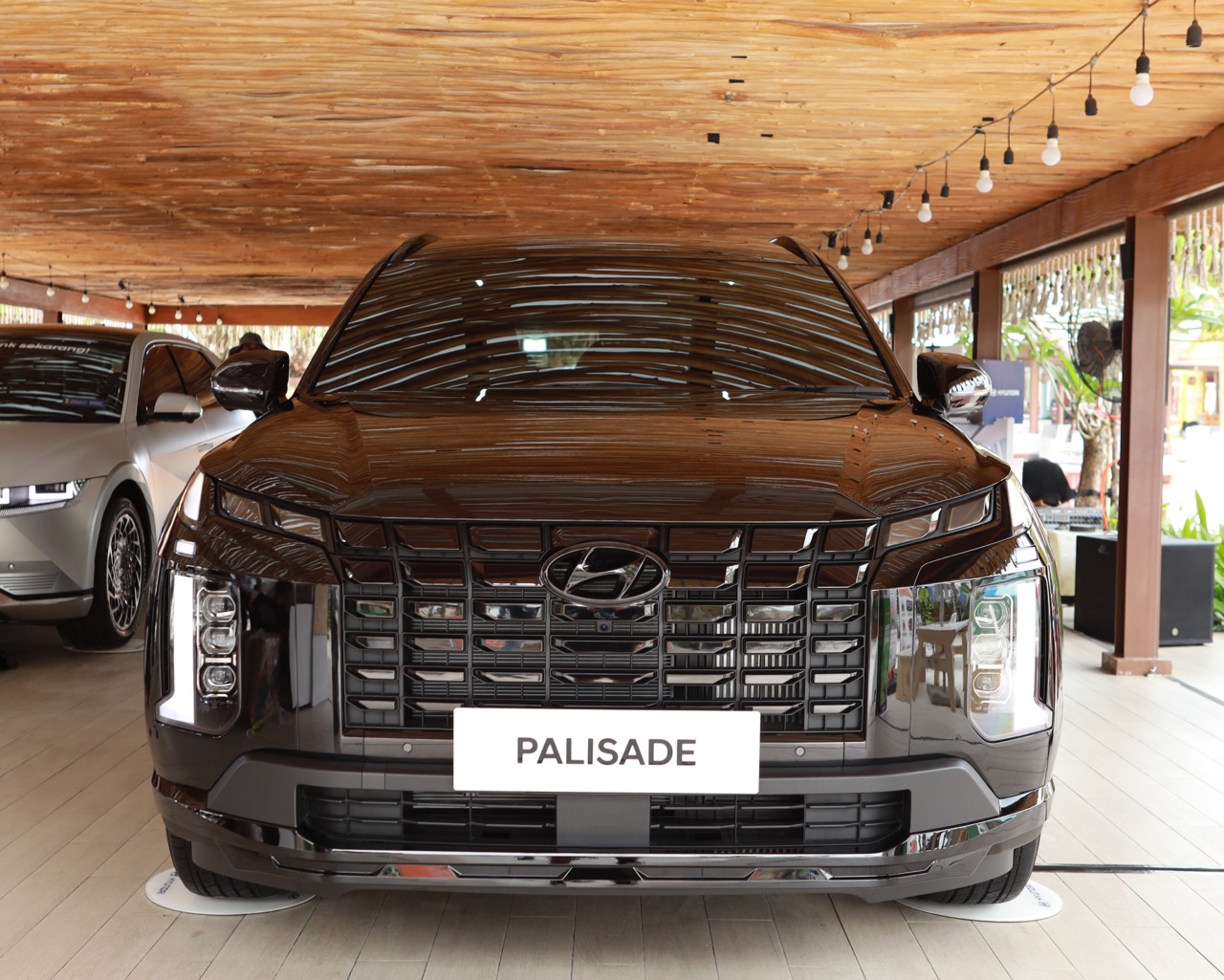 PALISADE XRT