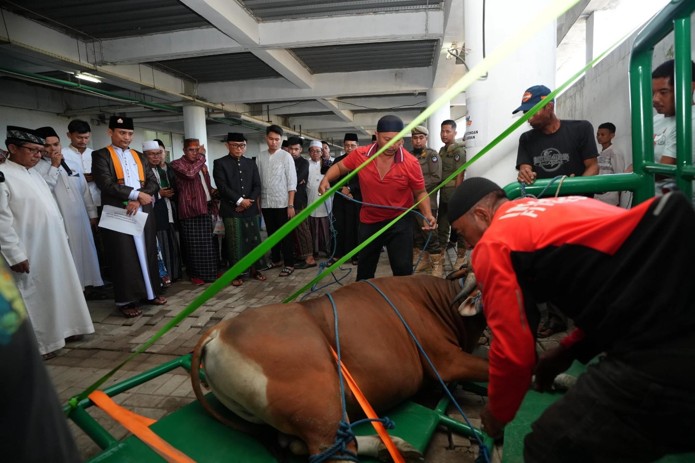 ist SAKSIKAN--Pj Gubernur Sulsel Prof Zudan Arif Fakrulloh menyaksikan langsung pemotongan hewan kurban di Pelataran Masjid Kubah 99 Asmaul Husna, sementara  Wali Kota Makassar Moh Ramdhan Pomanto menyaksikan pemotongan hewan kurban di Masjid Nur Al-Aqsa dekat kediamannya Jalan Amirullah, Senin, (17/6).