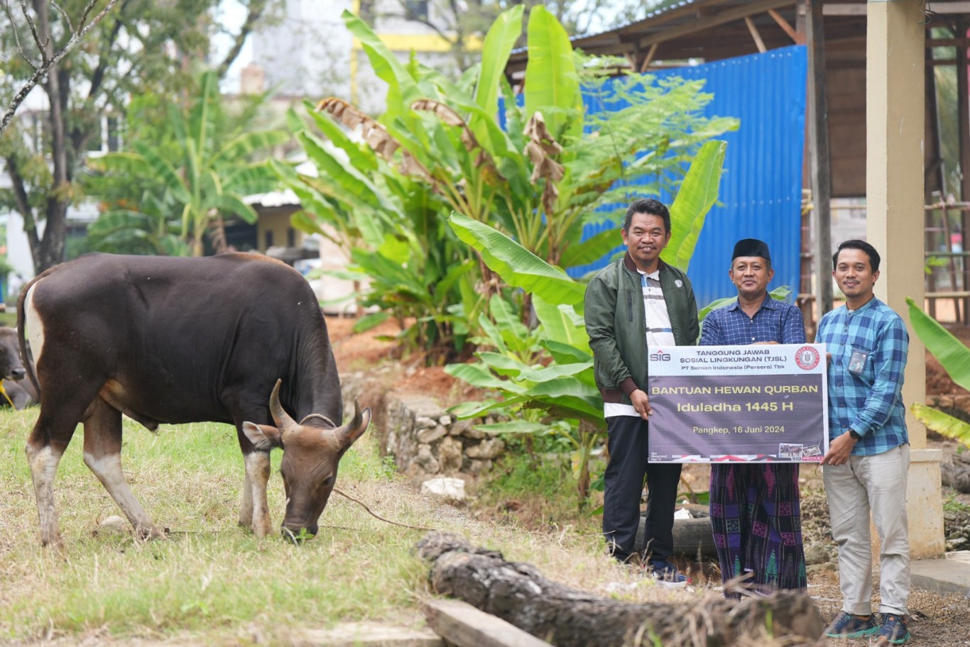 PENYERAHAN -- Tim TJSL PT Semen Tonasa mewakili manajemen menyerahkan bantuan hewan kurban 