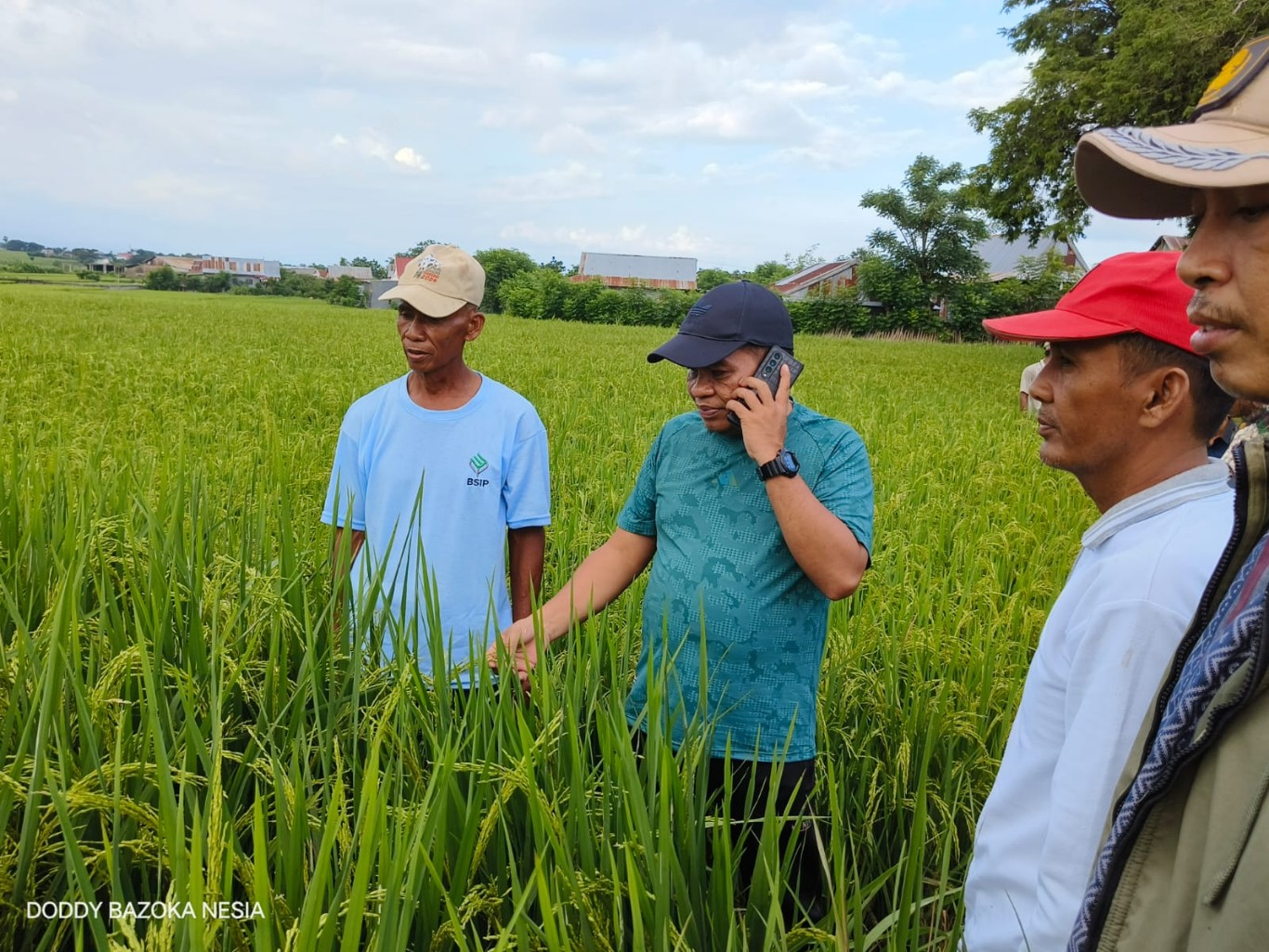 TINJAU -- Pj Bupati Jeneponto, Junaedi Bakri (tengah) sedang berdialog dengan salah seorang petani yang segera melakukan panen.