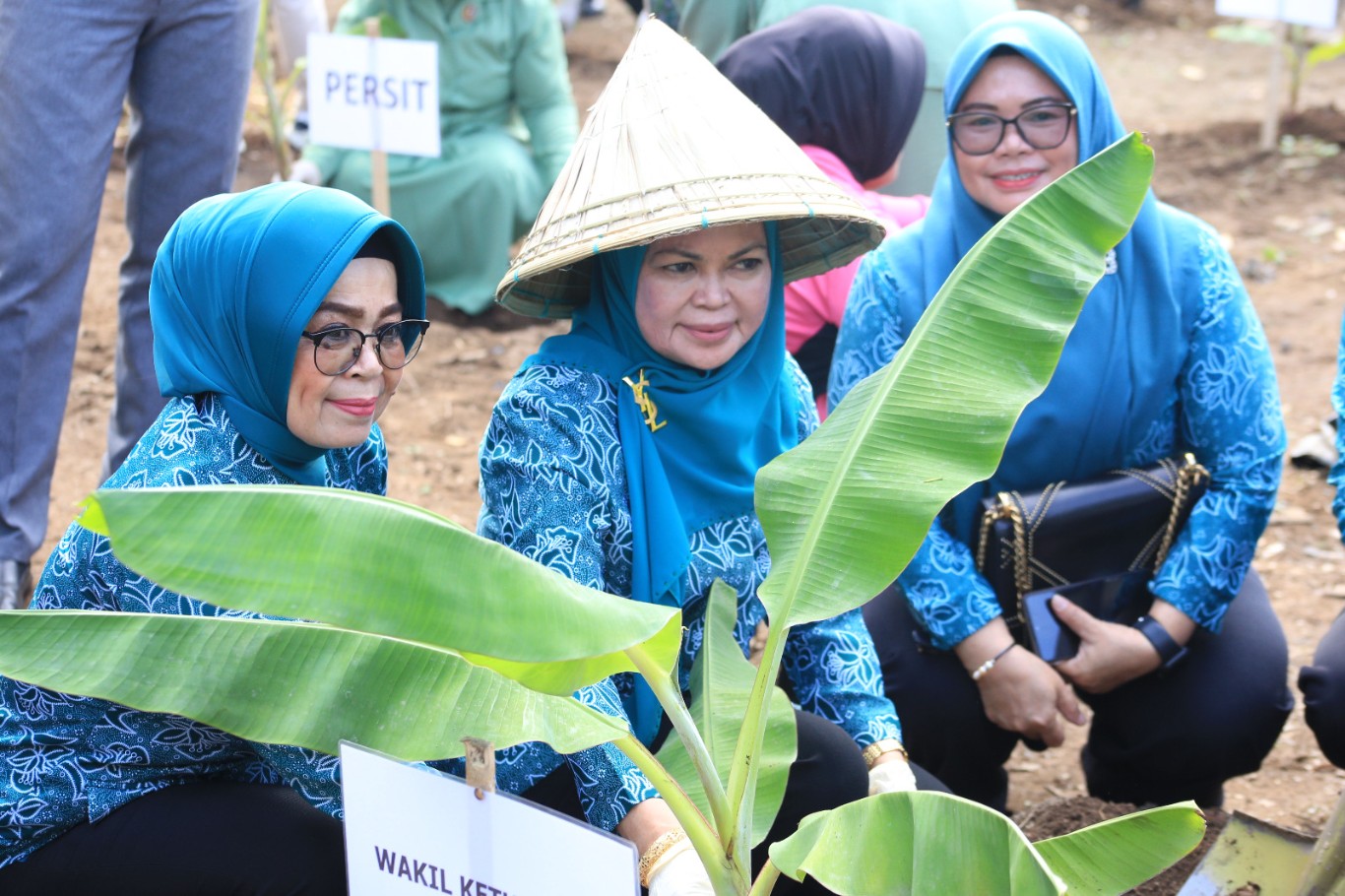 IST TANAM -- Wakil Ketua TP PKK Gowa, Mussaadiyah Rauf (tengah) bersama Kelompok Tani Nirannuang Paccinongang menanam pohon pisang dan bibit cabai. 