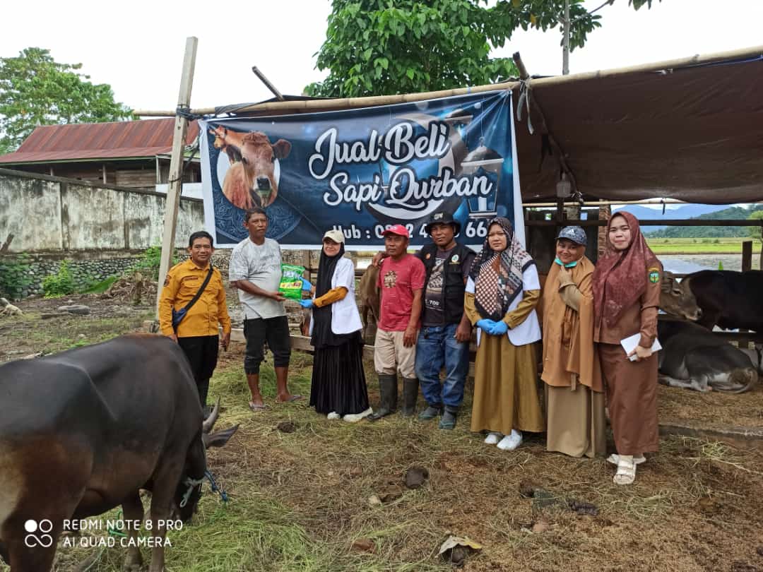 CEK KESEHATAN -- Bidang Peternakan Dinas Pertanian Kabupaten Luwu masif melakukan pengecekan kesehatan kesejumlah peternak dan pedagang yang tersebar di wilayah Kabupaten Luwu menjelang Idul Adha, Selasa (4/6).