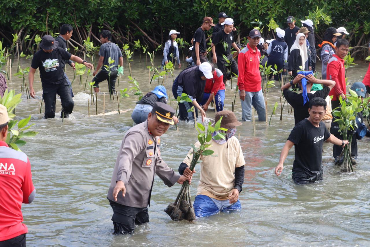 AKSI TANAM POHON -- Waka Polres Luwu Kompol La Makkanenneg mewakili Kapolres Luwu AKBP Arisandi melakukan aksi penanaman 10.001 bibit mangrove dalam rangka memperingati Hari Besar Lingkungan Hidup 2024 di Pelabuhan Tadette, Desa Senga Selatan, Kabupaten Luwu, Rabu (5/6)