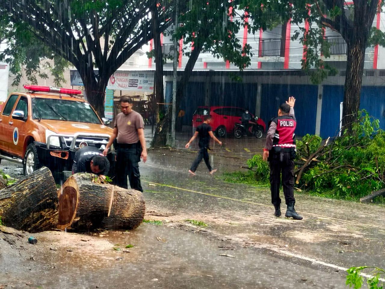 POHON TUMBANG -- Aparat kepolisian dari Polres Bulukumba ditengah hujan lebat disertai angin kencang melanda Kota Bulukumba melakukan pembersihan bekas pohon tumbang, Minggu (2/6) dini hari Wita. 