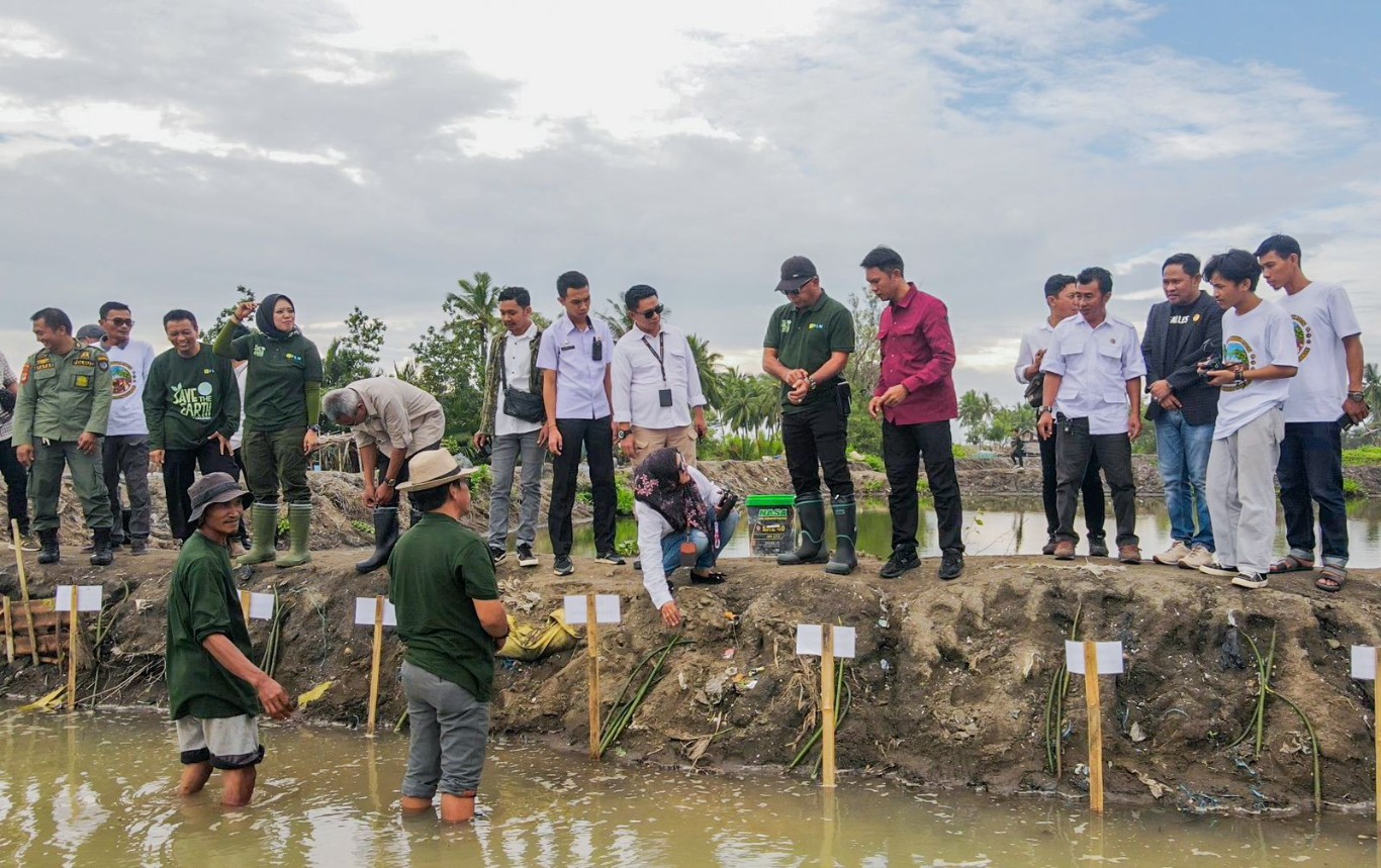 TANAM POHON -- Bupati Bulukumba Andi Muchtar Ali Yusuf melakukan penanaman lima ribu pohon mangrove di tiga desa/kelurahan DAS Balantieng dalam rangka memperingati Hari Lingkungan Hidup Sedunia tahun 2024, Rabu (5/6). 