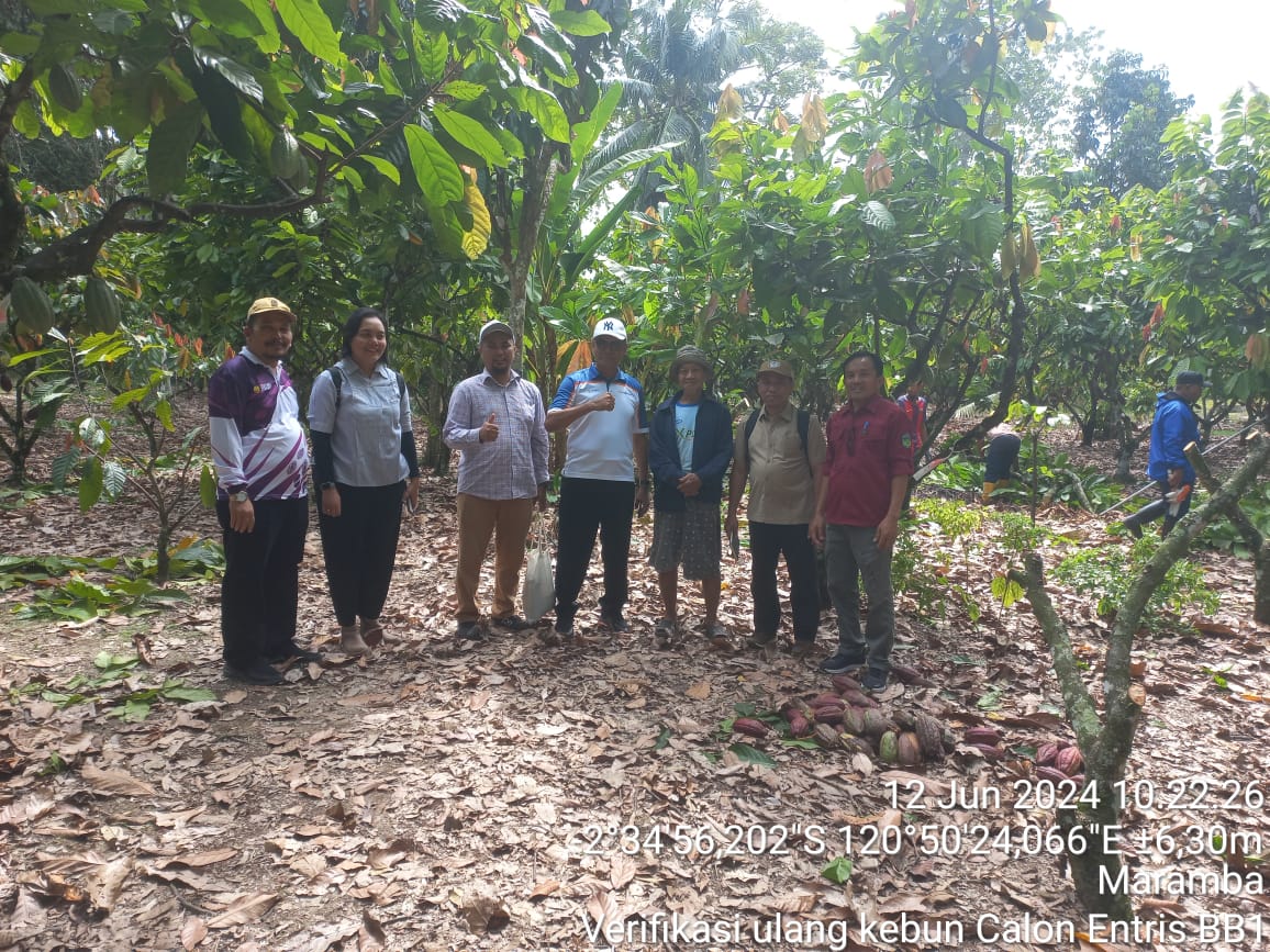 KEBUN -- Tim Direktorat Jenderal Perkebunan Direktur Perbenihan Perkebunan Kementrian Pertanian RI foto bersama disela-sela mengunjungi kebun entris kakao milik Rahman P di Desa Maramba Kecamatan Wotu Kabupaten Luwu Timur, Rabu (12/6).