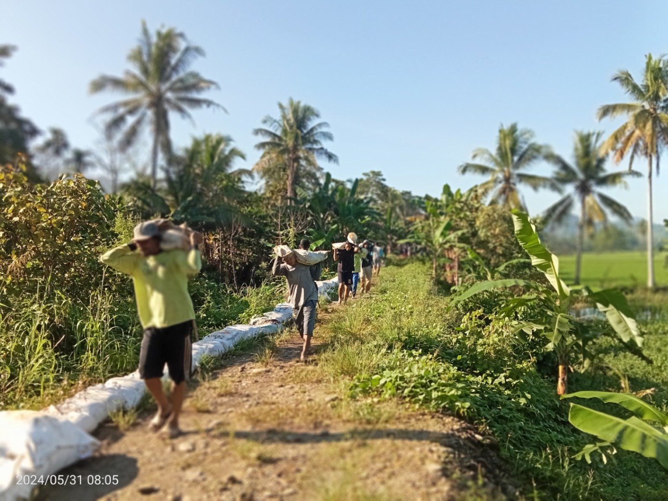GOTONG ROYONG -- Warga Desa Cendana Hitam Timur (CHT) bergotong royong memasang geobag untuk mengantisipasi adanya banjir dan luapan sungai, Jumat (31/5) pagi. 