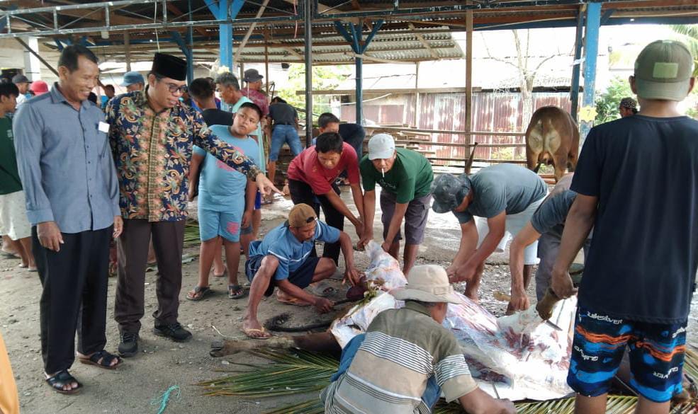 KURBAN -- Haria Raya IdulAdha 1445 H di Kecamatan Tomoni Timur Kabupaten Luwu Timur diwarnai dengan pemotongan 63 hewan kurban, Senin (17/6). Kegiatan dipantau Camat Tomoni Timur, Yulius yang didampingi Kades Margomulyo, Suwanto, Kades Purwosari, Lagio.