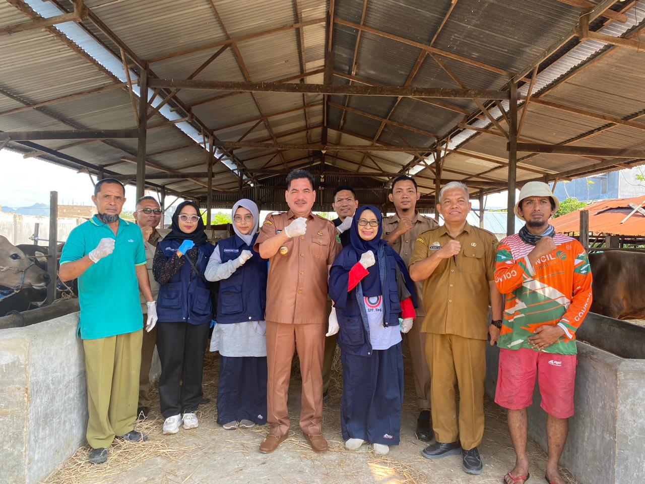KESIAPAN -- Pj Bupati Sidrap, H Basra melakukan pengecekan ketersediaan dan keamanan hewan kurban pada Hari Raya Idul Adha 1445 H,  Selasa (11/6)