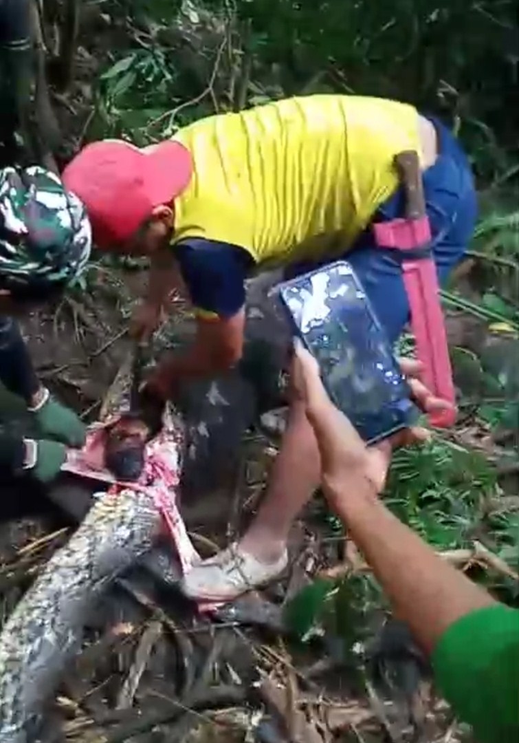 TEWAS -- Seorang perempuan paruh baya Parida ditemukan warga di dalam perut ular piton sepanjang enam meter di Dusun III Praja, Desa Kalempang, Kecamatan Pitu Riawa, Jumat (7/6).
