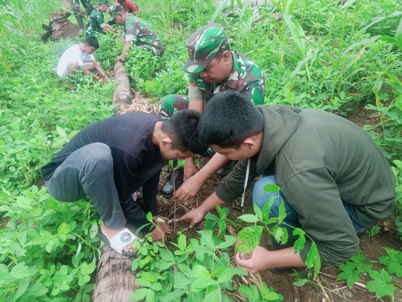 KARYA BAKTI -- Personel Koramil 05/Marioriwawo bersama masyarakat Dusun Gattareng melaksanakan kegiatan karya bakti penanaman pohon di Dusun Gattareng Desa Gattareng Kecamatan Marioriwawo Kabupaten Soppeng, Selasa (18/6). 