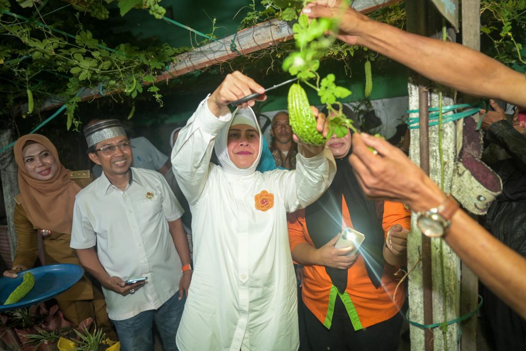 ist PANEN--Ketua TP PKK Kota Makassar Indira Yusuf ismail memanen pare di Lorong Wisata Mildura, Kelurahan Sinrijala, Kecamatan Panakkukang, Senin (19/8).