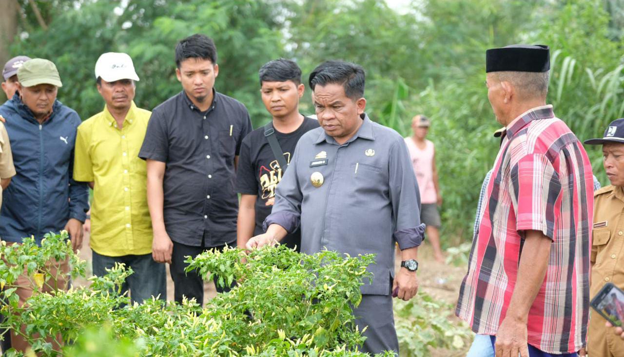 TINJAU -- Pj Bupati Jeneponto, Junaedi Bakri (dua dari kanan) ketika mengunjungi dan melihat dari dekat tanaman cabai petani Desa Lentu yang diduga terserang virus trips.