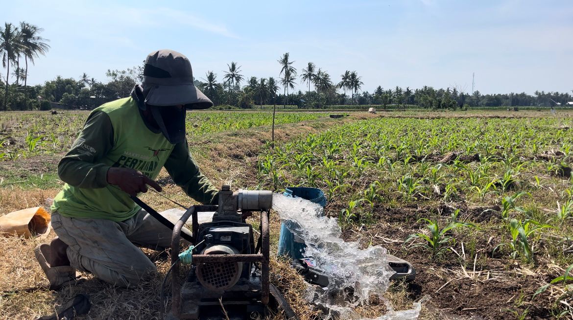 POMPANISASI -- Pompanisasi sawah yang ditenagai aliran listrik PLN kini dinikmati petani di Desa Maritengngae, Kabupaten Pinrang.
