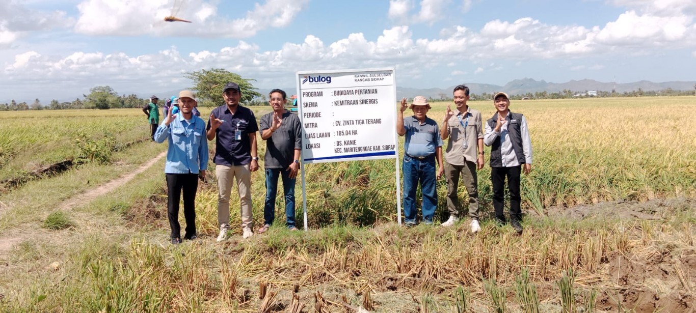 GAGAS PMO -- Wakil Kepala Bulog Sidrap Heri Susianto foto bersama disela-sela menghadiri panen perdana di Desa Kanie, Kecamatan Maritengngae, Sidrap, Rabu (12/9) 
