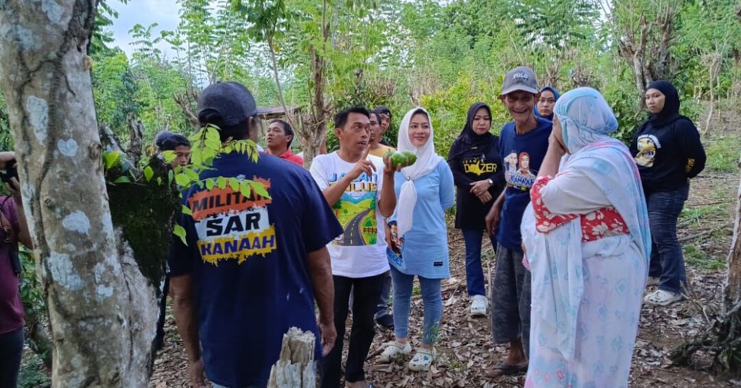 IST
KUNJUNGI KEBUN--Calon bupati Sidrap Syaharuddin Alrif mengunjungi kebun percontohan bibit tanaman Alpukat desa Lombo yang sudah disalurkan kepada petani
