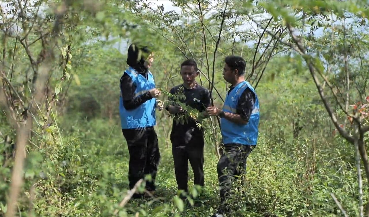 BERDISKUSI -- Salah seorang anggota Gapoktan Jaga Lembur Tani Makmur Desa Bojongkapol, Kecamatan Bojonggambir, Tasikmalaya, Rismayadi (40) (tengah), saat berdiskusi dengan petugas PLN di lahan yang ditanami tanaman indigofera.