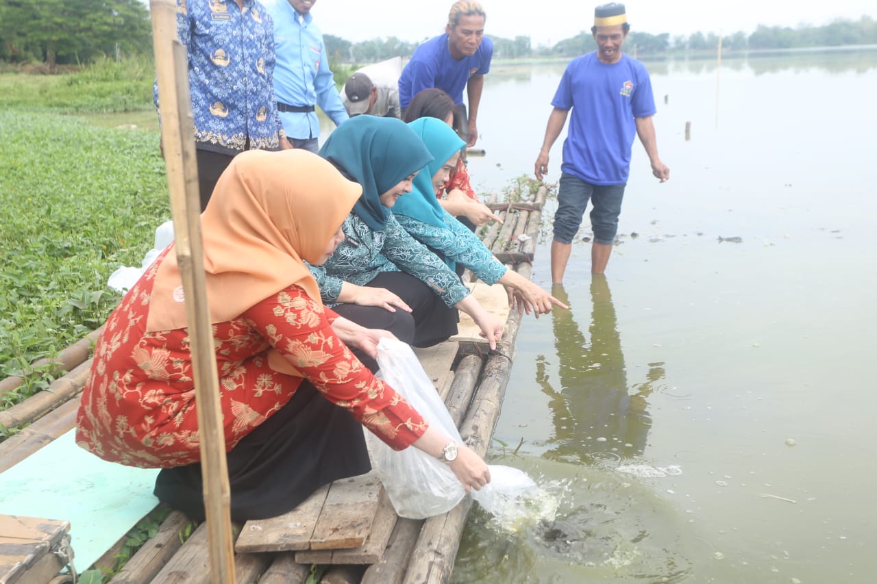 IST
BENIH -- Pj Ketua TP PKK Sulsel, Ninuk Triyani Zudan bersama Priska Paramita Adnan dan Suryanti Andy Azis menebar benih ikan di Danau Mawang. 

