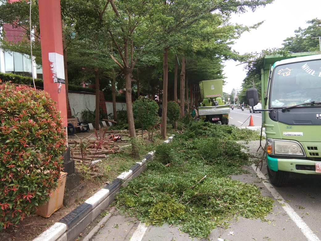 int
PANGKAS--DLH Kota Makassar mulai melakukan pemangkasan menjelang pergantian musim dari kemarau ke musim penghujan utamanya di jalan-jalan utama.Tampak pemangkasan pohon yang dilakukan DLH beberapa waktu lalu.