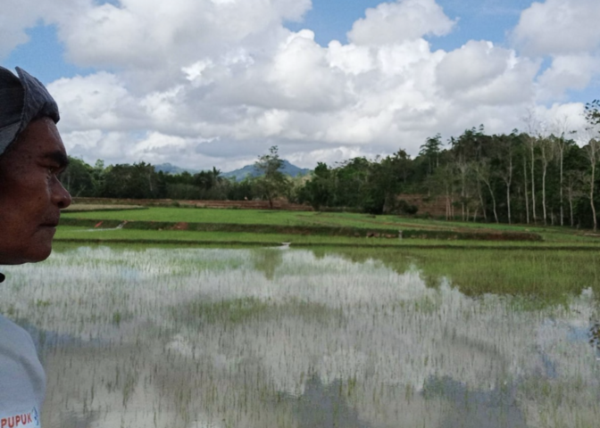 PANTAU -- Petugas dari DTPHP Sinjai saat memantau program Pompanisasi Lahan Petani di Kabupaten Sinjai, Kamis (10/9).
