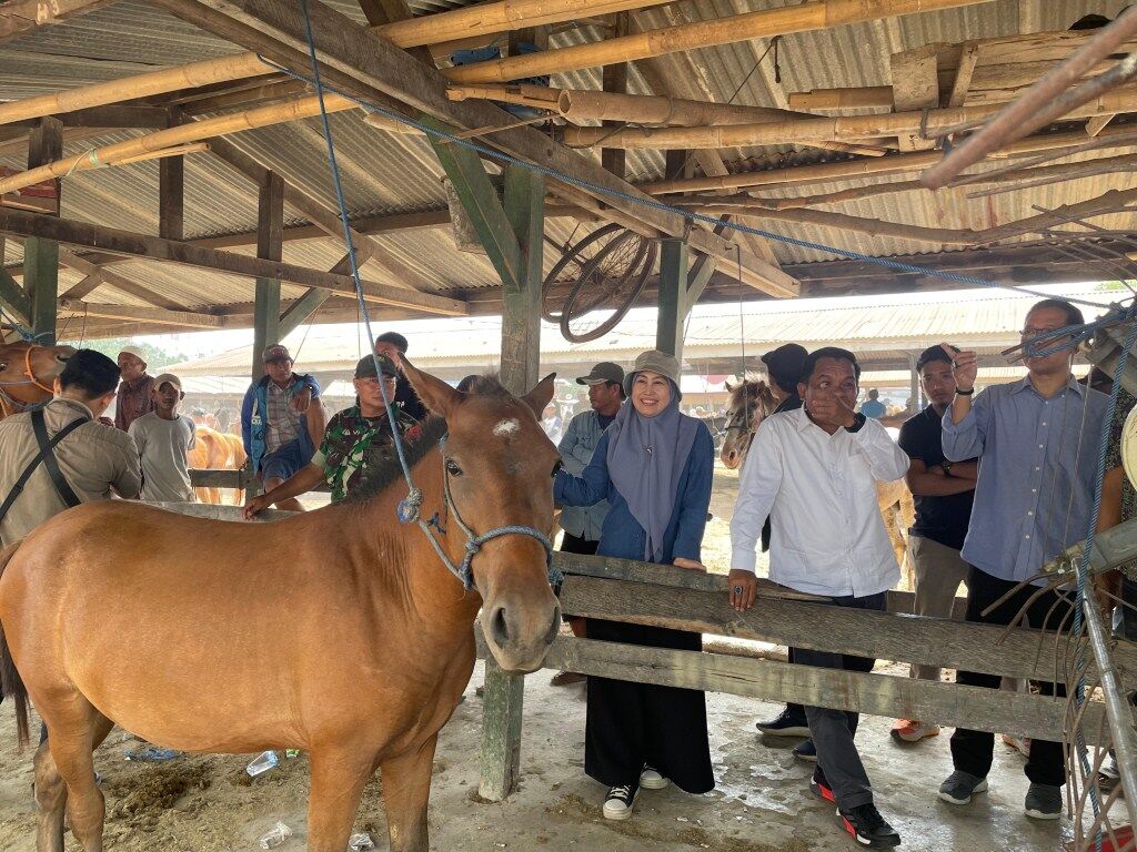 TINJAU -- Pj Bupati Jeneponto, Junaedi Bakri (tengah) didampingi sejumlah pejabat daerah saat meninjau Pasar Ternak Tolo.
