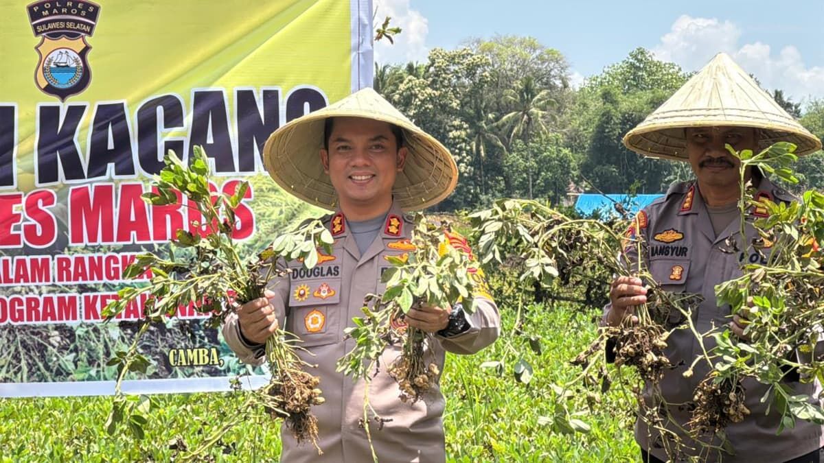 PANEN -- Kapolres Maros, AKBP Douglas Mahendrajaya (kiri) didampingi Kasi Propam Polres Maros, AKP Mansyur M,