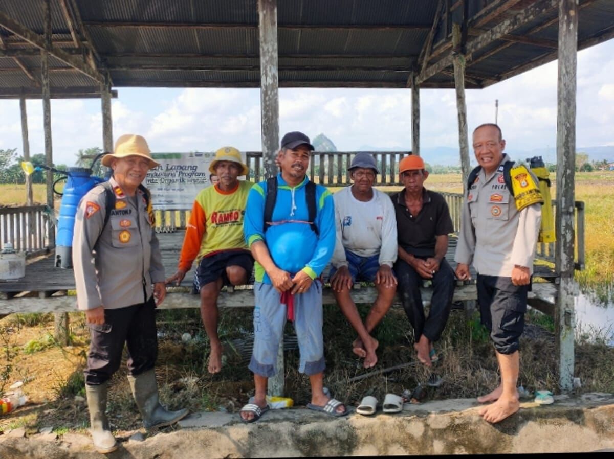 PANGAN -- Polsek Maritangae dan petani Kabupaten Sidrap menunjukkan dukungan penuh terhadap program prioritas nasional Swasembada Pangan yang dicanangkan oleh Presiden RI Prabowo Subianto.  
