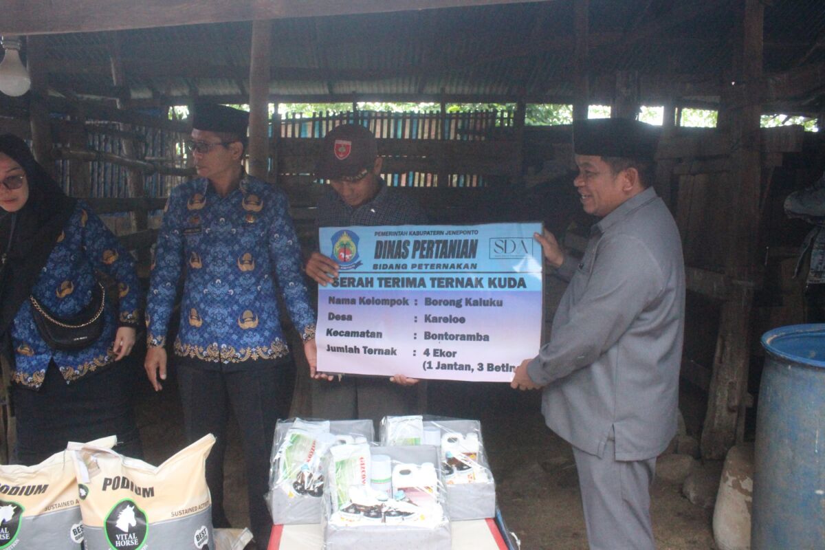 TERNAK KUDA -- Pj Bupati Jeneponto, Junaedi Tahir (kanan) menyerahkan bantuan dari Dinas Pertanian berupa ternak kuda kepada lembaga terkait lainnya.
