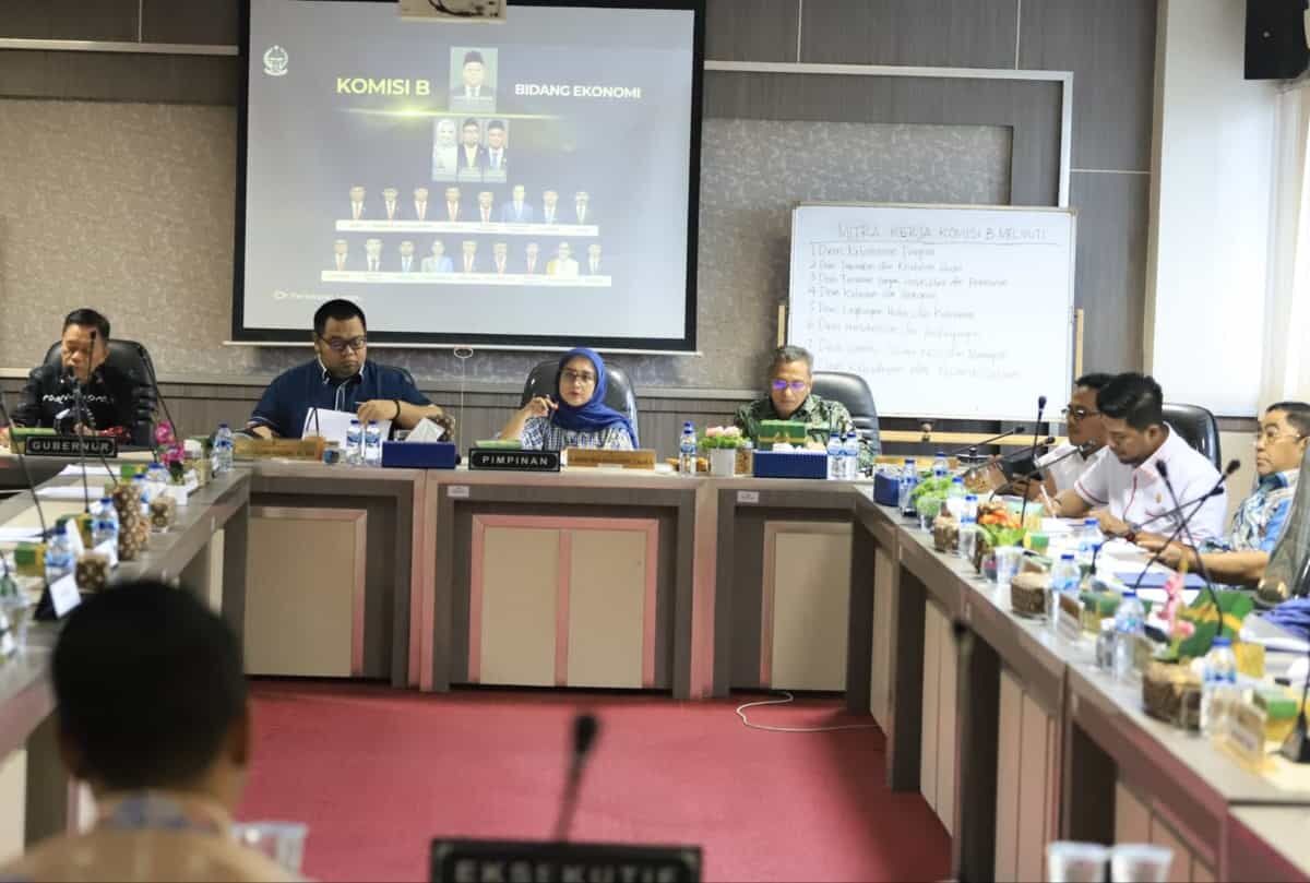 IST
MEMIMPIN RAPAT--Ketua Komisi B DPRD Sulsel Andi Azizah Irma Wahyudiyati memimpin rapat bersama OPD sebagai mitra kerja dalam rangka rapat evaluasi triwulan IV APBD tahun 2024
