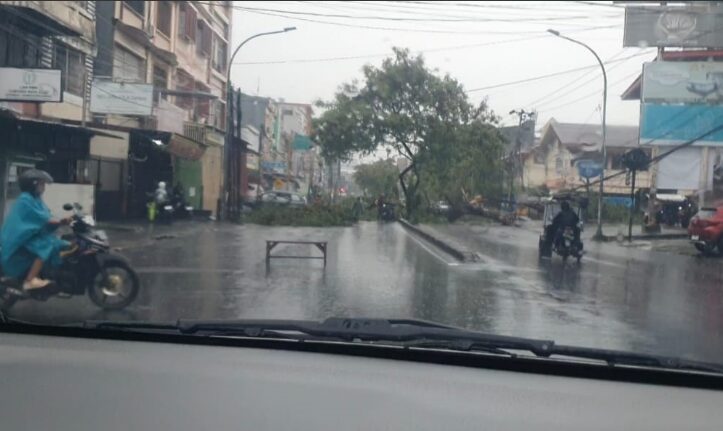 Pohon tumbang di jalan Latimojong pada 17 Maret 2025 akibat angin kencang dan hujan deras. Kejadian ini menyebabkan penutupan sebagian jalan dan gangguan lalu lintas di area tersebut.