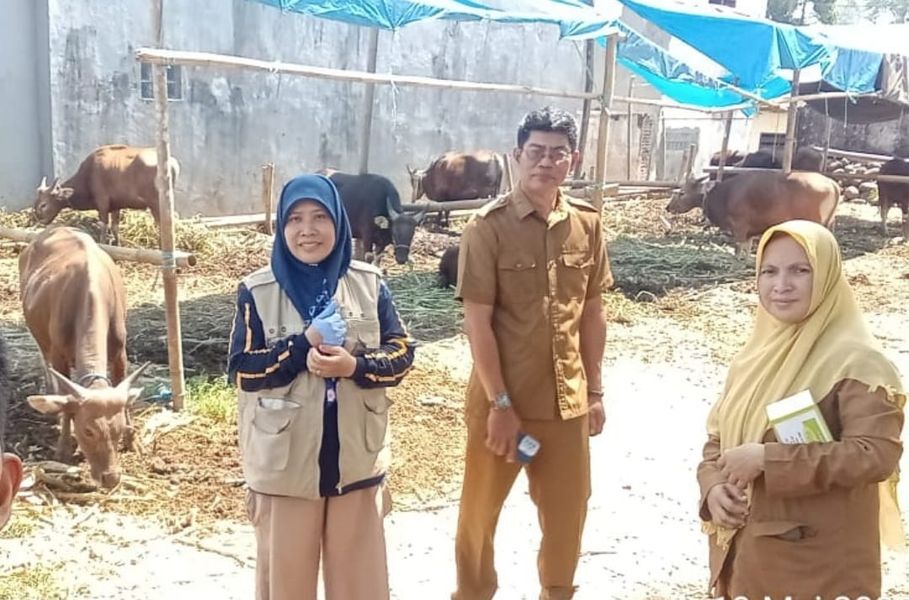 IST
RIKKES -- Petugas Keswan Disnakbun Gowa saat melakukan pemeriksaan kesehatan (rikkes) sapi di Kecamatan Pattallassang.
